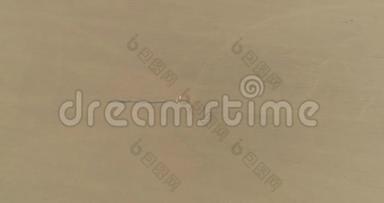 一个带着气球的女孩在沙漠中的海市蜃楼湖<strong>奔跑</strong>。无人机。<strong>2017</strong>年10月